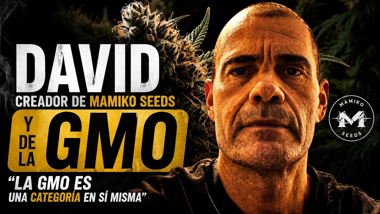 El Creador de la GMO - Mamiko Seeds | Bajo Presión #7