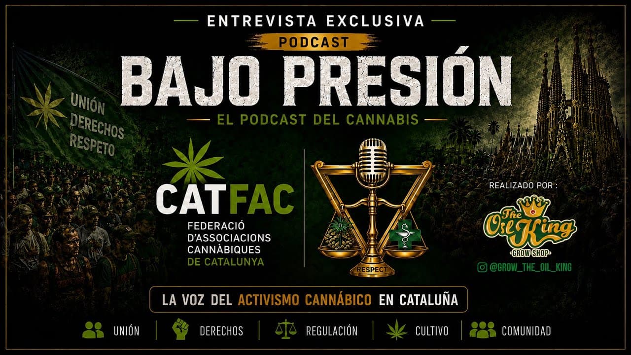 CATFAC: La lucha por los Clubes Cannábicos y la Regulación del Cannabis en España | Bajo Presión