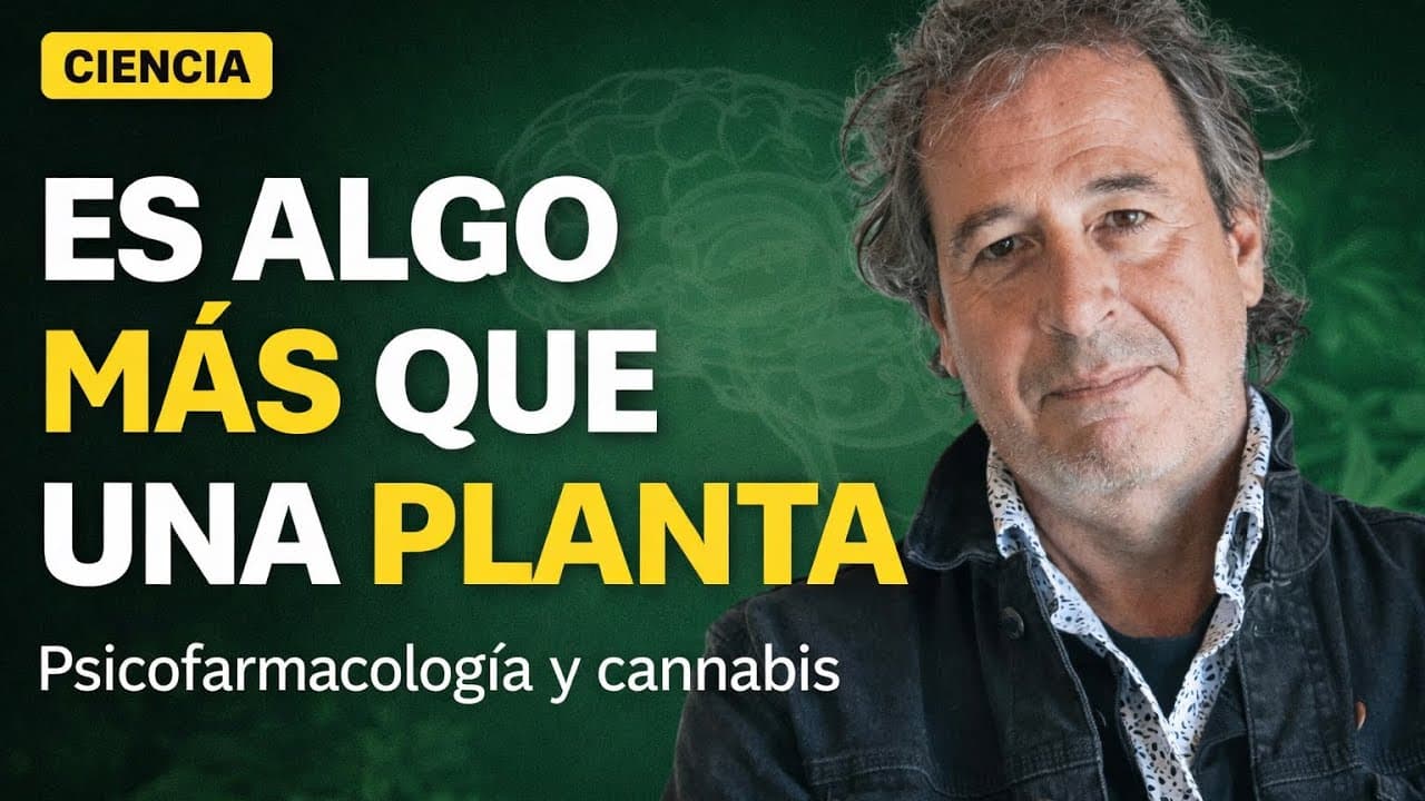 Cannabis : MITOS vs CIENCIA | José Carlos Bouso // Bajo Presión Podcast 