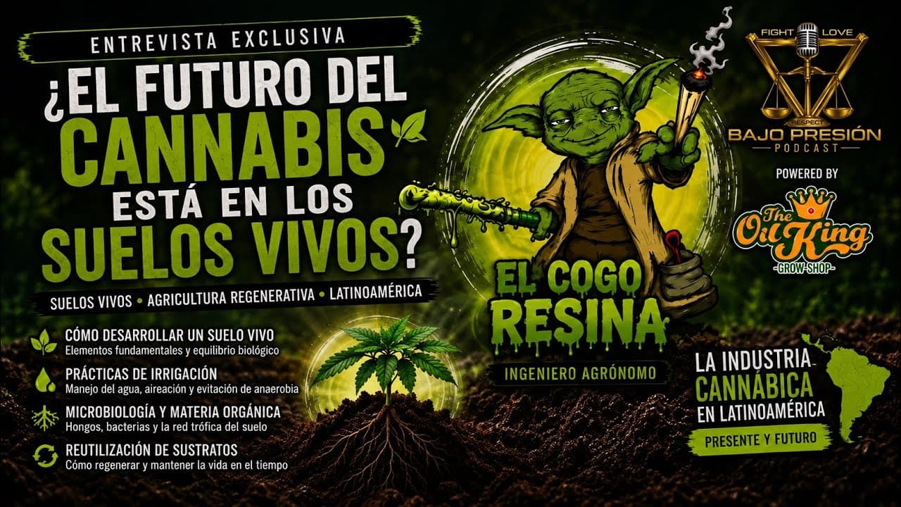 ¿ El FUTURO del cannabis está en los SUELOS VIVOS ? | El Cogo Resina