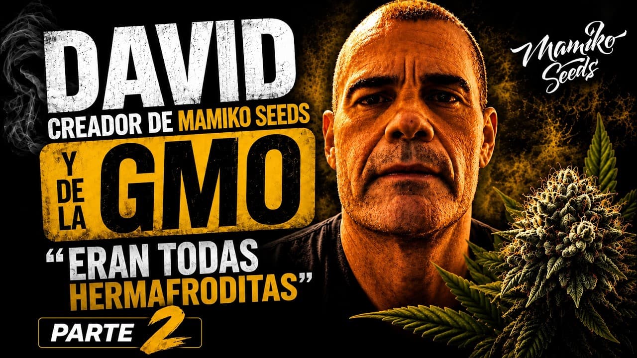 Mamiko (Creador de GMO) | Parte 2: Hermafroditismo, breeding y el futuro del cannabis