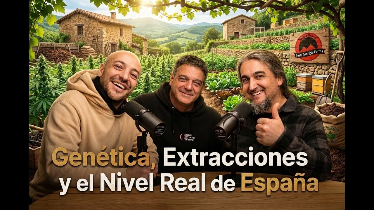 "Genética, Extracciones y el Nivel Real de España" | BASK TRIANGLE - BAJO PRESION #4