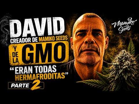Mamiko (Creador de GMO) | Parte 2: Hermafroditismo, breeding y el futuro del cannabis